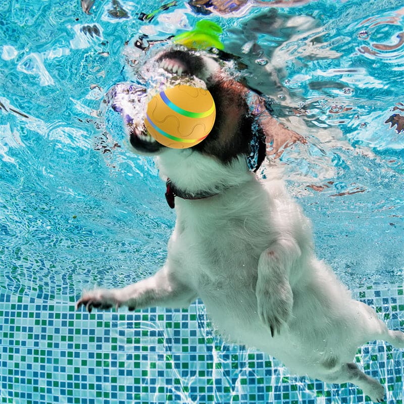 Wicked Ball