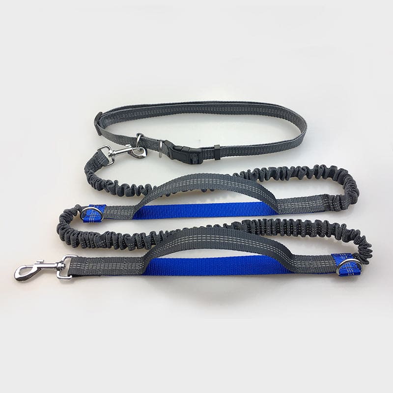 Elastische Hundeleine
