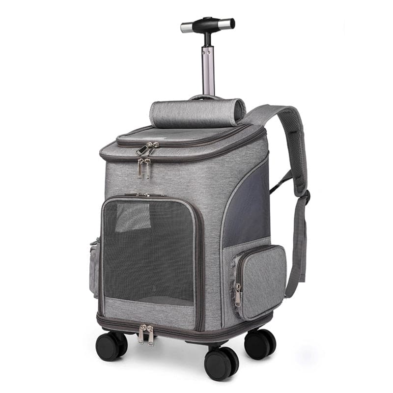 Reise Backpack/ Rollkoffer