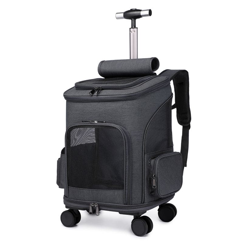 Reise Backpack/ Rollkoffer