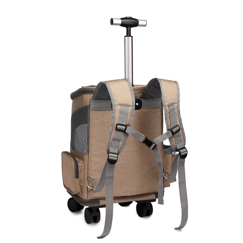 Reise Backpack/ Rollkoffer