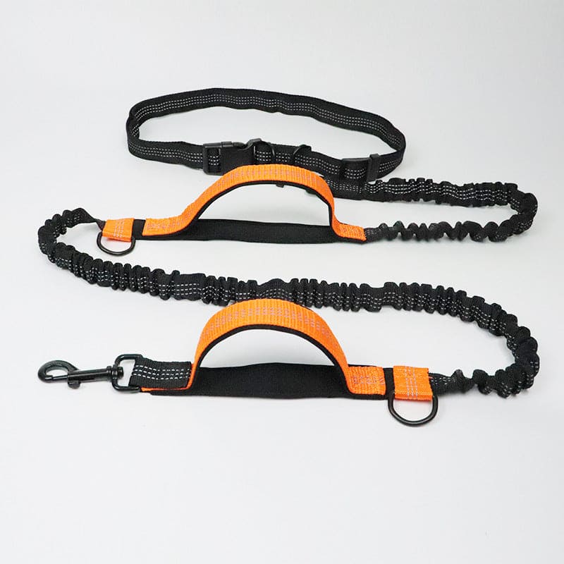 Elastische Hundeleine