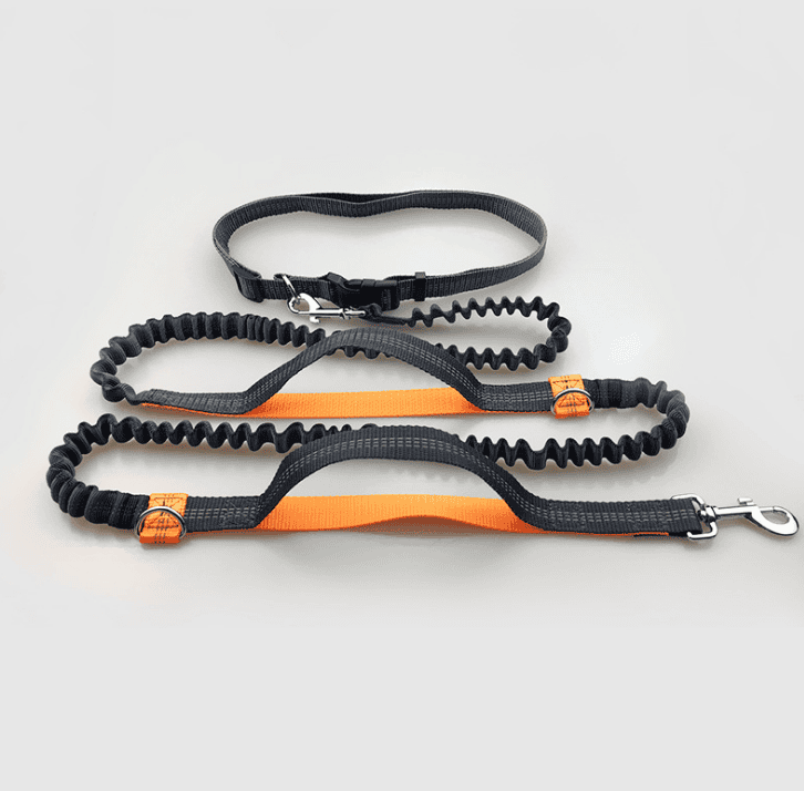 Elastische Hundeleine