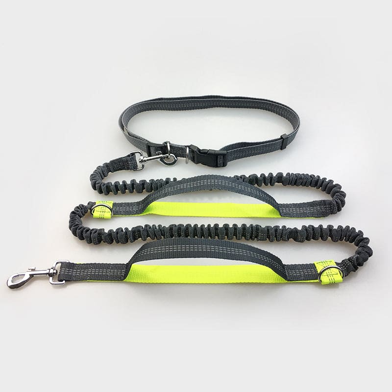 Elastische Hundeleine