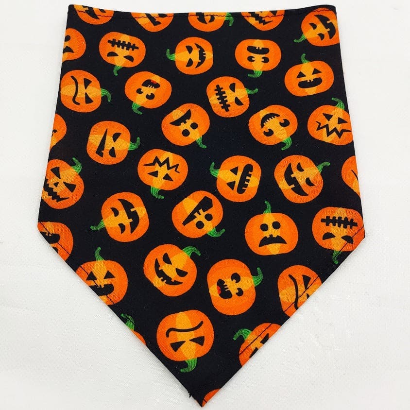Hunde bandana/ Tuch