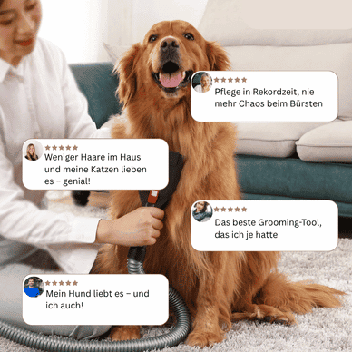 FellFix™ – Nie mehr Tierhaare auf Sofa, Teppich & Kleidung