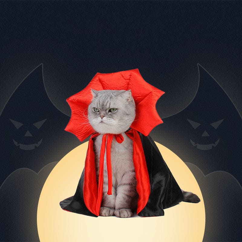 Dracula Costume