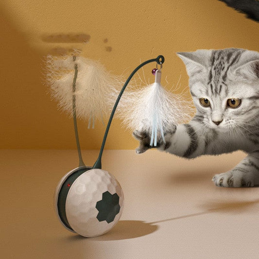 Balance Golfball